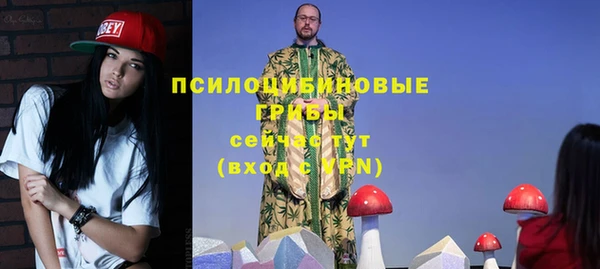 ешки Бугульма