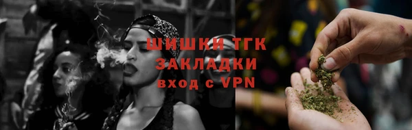 сатива Бронницы