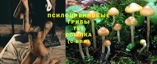 сатива Бронницы