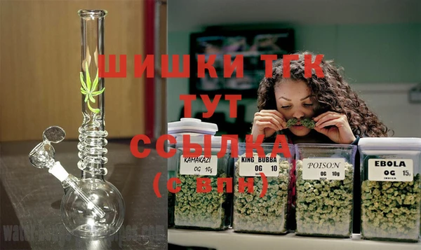 ешки Бугульма
