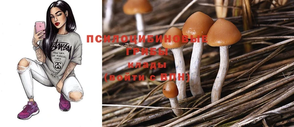 таблы Бородино
