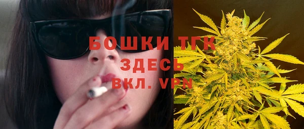 таблы Бородино