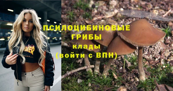 сатива Бронницы