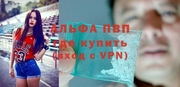 таблы Бородино