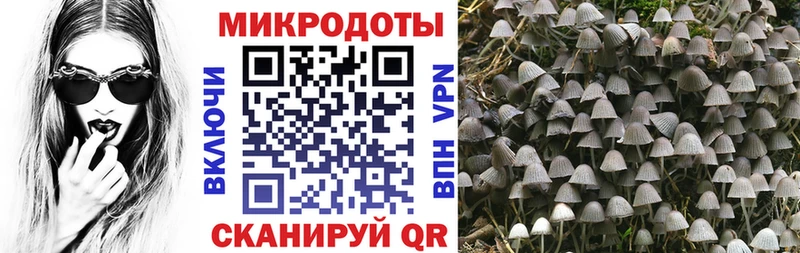 Галлюциногенные грибы ЛСД Екатеринбург
